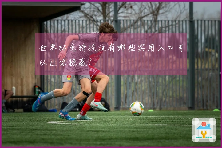 世界杯竞猜投注有哪些实用入口可以让你稳赢？