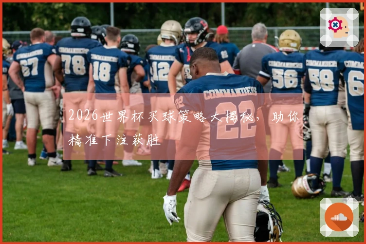 2026世界杯买球策略大揭秘，助你精准下注获胜