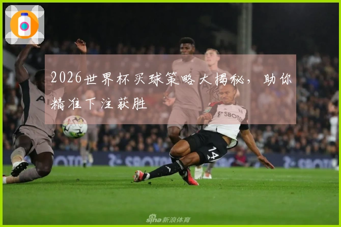 2026世界杯买球策略大揭秘，助你精准下注获胜