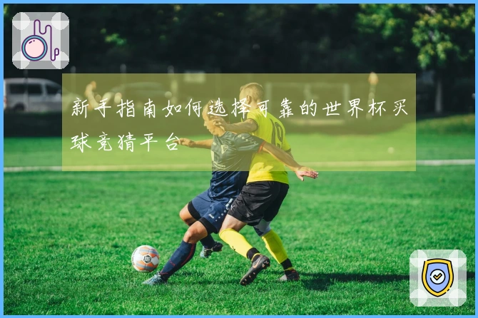 新手指南如何选择可靠的世界杯买球竞猜平台