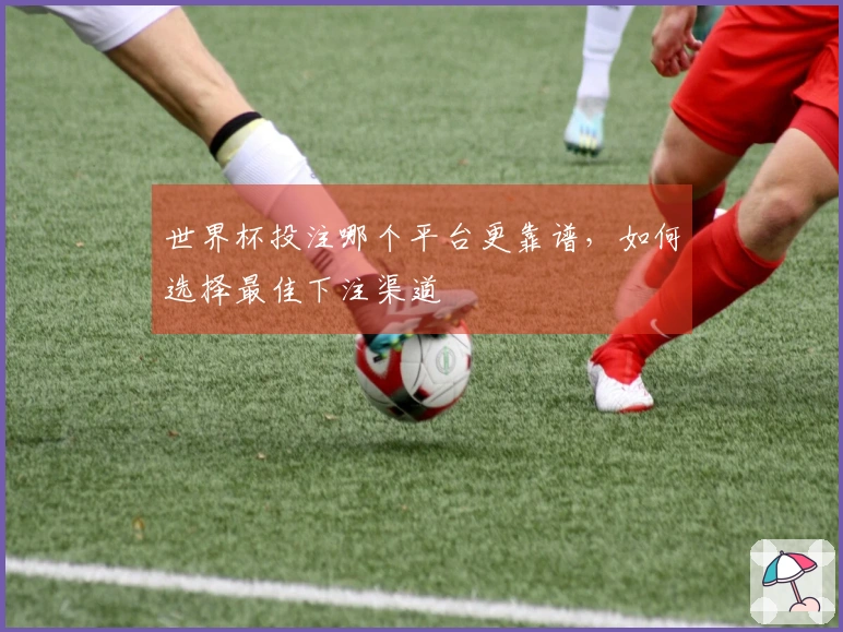 世界杯投注哪个平台更靠谱，如何选择最佳下注渠道