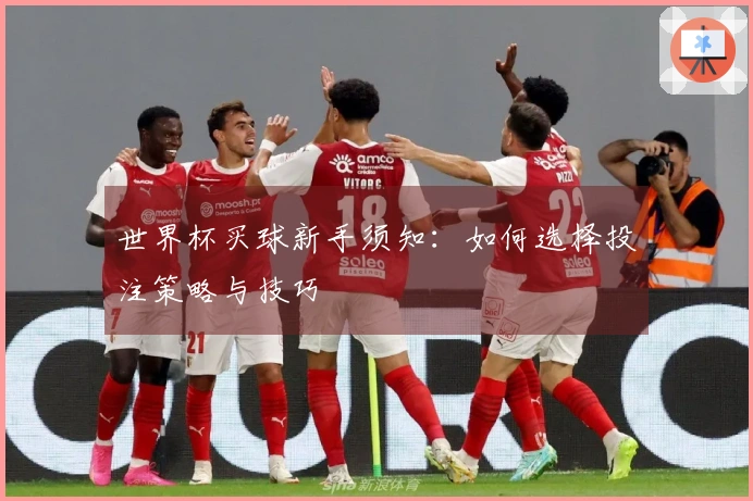 世界杯买球新手须知：如何选择投注策略与技巧